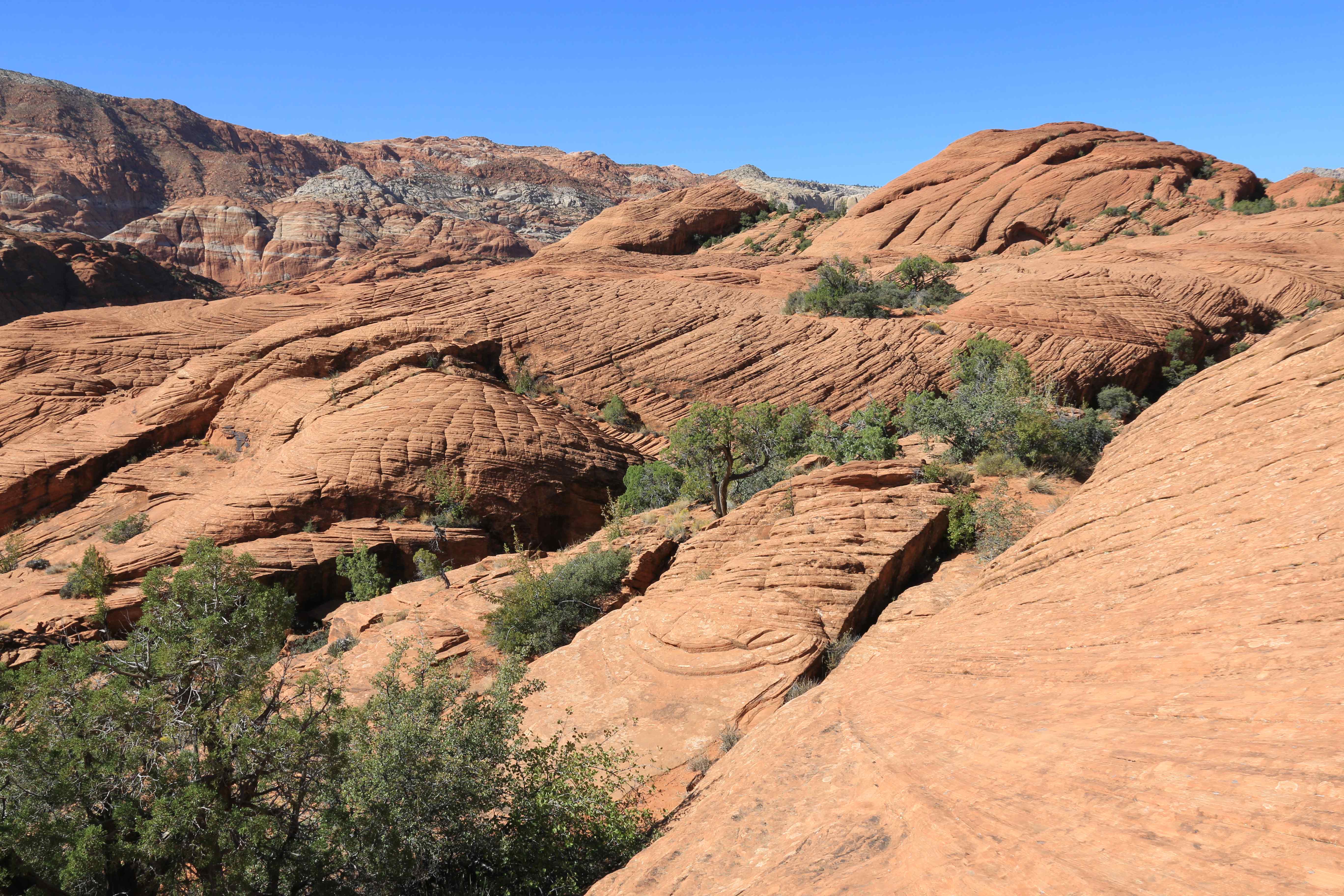 Snow Canyon